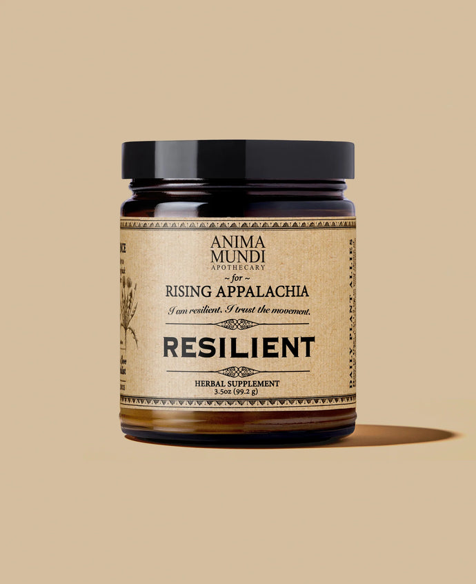 Resilient | Adaptogens + Cacao (99,2g)