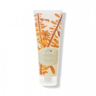 Kelp & Mint Volumizing Shampoo | für mehr Sprungkraft & Fülle (236ml)