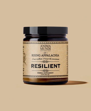 Resilient | Adaptogens + Cacao (99,2g)
