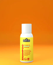 Bio Shampoo | Für feines und normales Haar